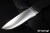 FN-F1nz-Elmax-3.jpg