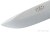 FN-F1xElmax-2.jpg