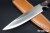 HARA-IMP-8A-BugM-2.jpg
