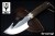 MUE-RACCOON-8A-1.jpg
