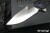 PROELIA-TX050-2.jpg