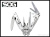 SOG-S67N-5.jpg