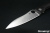 SP-C241CFP-2.jpg