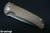 STEDSG04-3.jpg