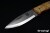 TBS-Boar-FOL2-CB-2.jpg