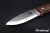TBS-Boar-Fold-WAL-B70011-2.jpg
