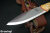 TBS-Boar-K720-CB-LEFT-MCS-2.jpg