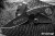 TP-CUT40A-Blackout-9.jpg