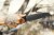 TP-SilentHero-GRAY-8.jpg