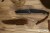 TQG-WOLF-TANT-8.jpg