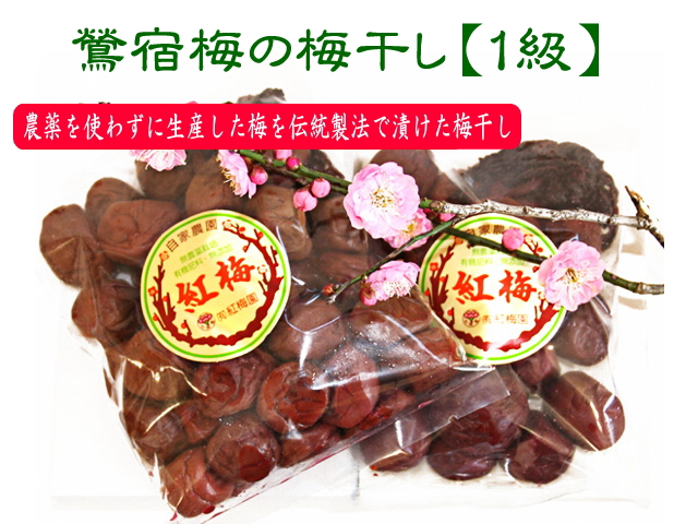 徳重紅梅園の大粒梅干し 3年物1級品（鶯宿梅）500gが梅干しの