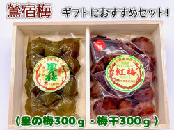 青梅 鶯宿梅　Ｌ　６kg 健康志向な方へのギフトにおすすめ：鶯宿梅（梅干300g・里の梅300g