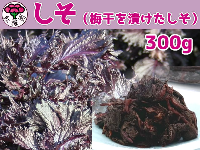 しそ３００ｇ