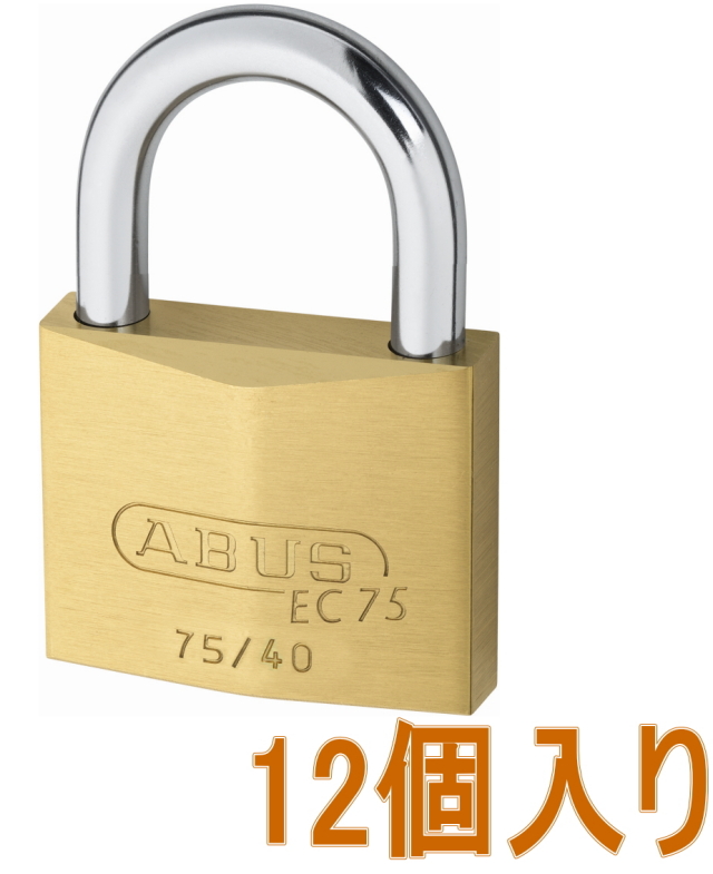 CDアコード前期 フルブラ ノーズブラ 中古 カスタム トラッキン 悪かっ