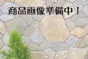 只今商品画像を準備しています。しばらくお待ちください！