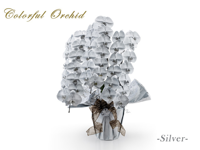 カラフル胡蝶蘭3本立（シルバー）
