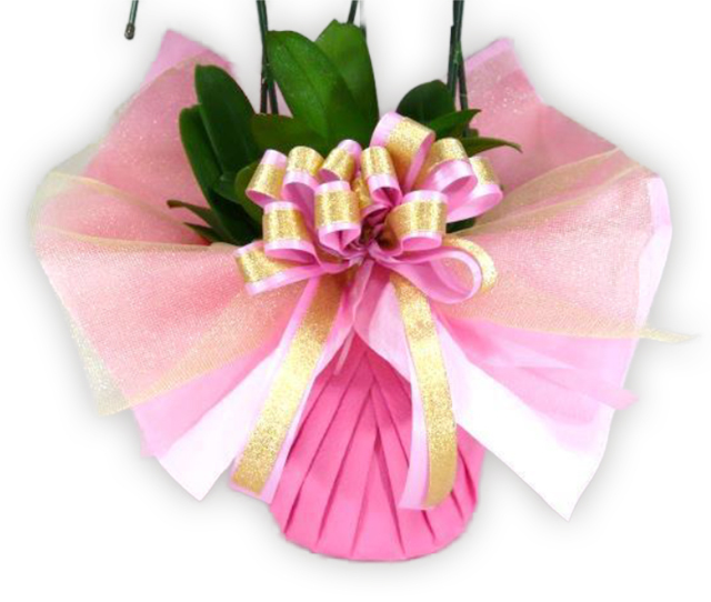 豪華ラッピング 　　　ピンク