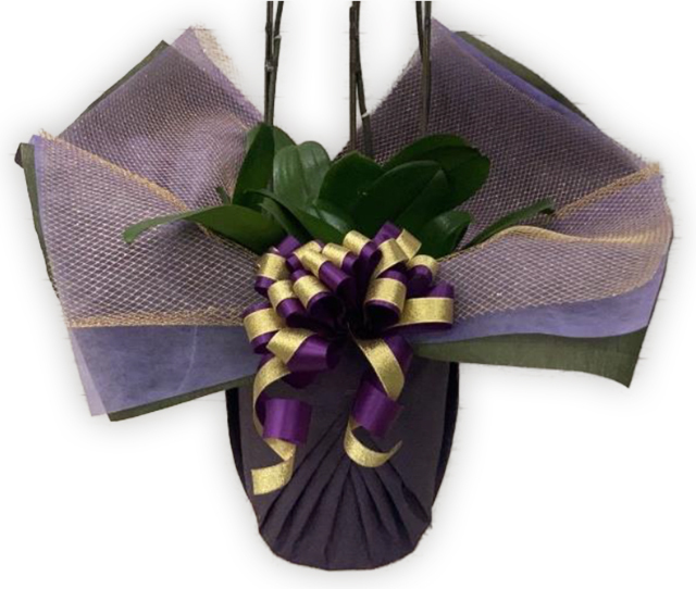 豪華ラッピング 　　　パープル