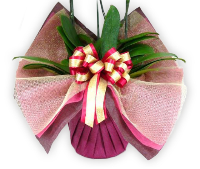 豪華ラッピング