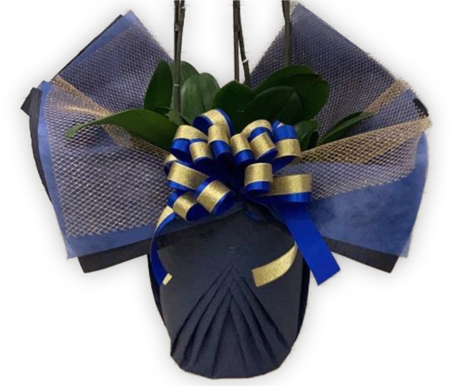 豪華ラッピング 　　　ブルー