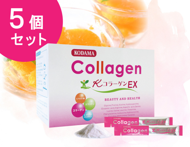 KコラーゲンEX　(5g×40包)×5箱