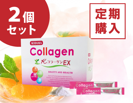 KコラーゲンEX　(5g×40包)×2個セット+8包増量 【定期購入】