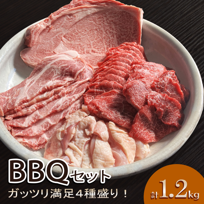 送料無料 !【伊賀牛】厚切りステーキ入り贅沢バーベキューセット3～4人前