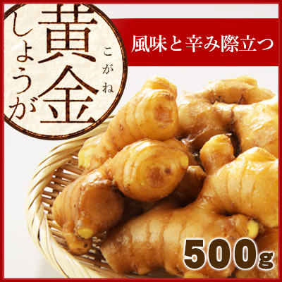 黄金生姜500ｇ