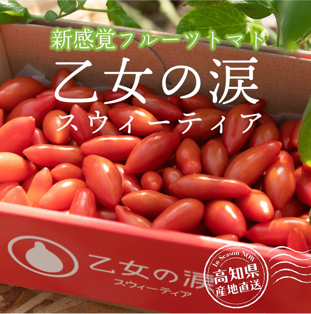 乙女の涙 スウィーティア 1kg箱 バラ詰