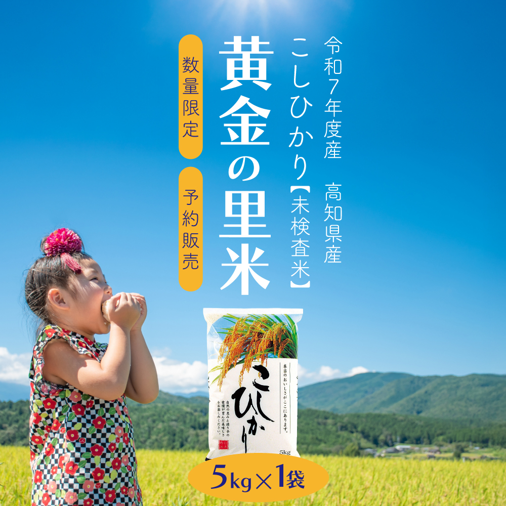 【送料無料】数量限定 黄金の里米 5kg