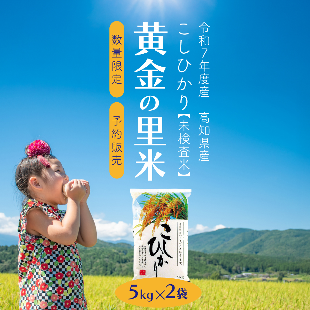 【送料無料】数量限定 黄金の里米 10kg