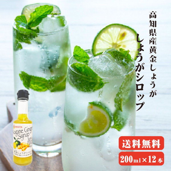 【送料無料】黄金しょうがシロップセット　200ml×12  |高知県産しょうが使用　すだち　直七