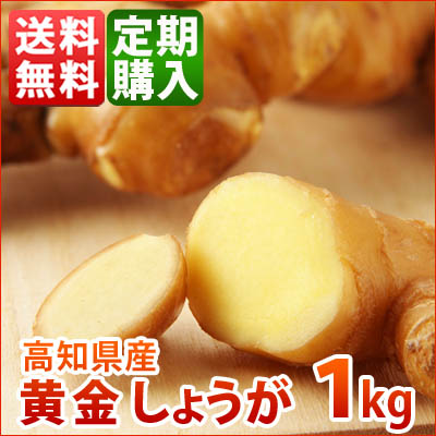 定期購入【送料無料】 高知県産　黄金生姜 1ｋｇ