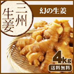 【送料無料】高知県産　三州生姜（さんしゅうしょうが）　４ｋｇ　  /食用のため種生姜としてのご利用はできません