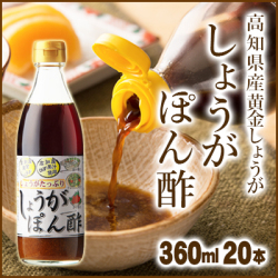 【送料無料】高知産黄金しょうが しょうがぽん酢360ml 20本入【まとめ買い】