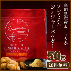 【ゆうパケット送料無料】プレミアムジンジャーパウダー50g 特別発酵製法 生姜粉末 高知県産黄金しょうが100％ しょうが粉末 生姜粉末 生姜パウダー