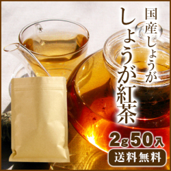 【ゆうパケット送料無料】アカホリ しょうが紅茶100g (2g×50) 大容量お得パック【生姜茶/冷えとり/ジンジャーティー】