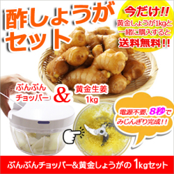 【送料無料】酢しょうがセット ぶんぶんチョッパー&黄金しょうが 1kg