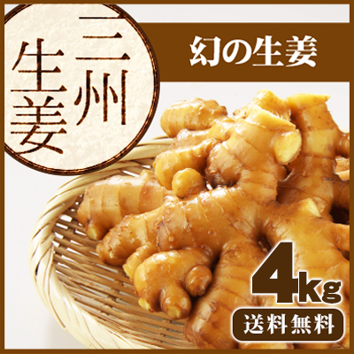 無農薬　幻の生姜　三州生姜　種生姜　5㎏ 楽天市場】三州生姜種 種生姜 千葉県産 食用生姜 4.5キロ