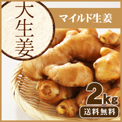 大しょうが2ｋｇ