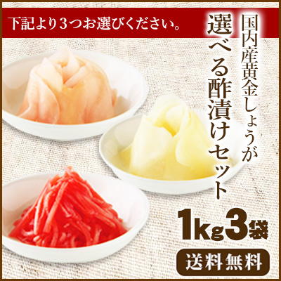 【送料無料】国産生姜使用 選べる酢漬けセット1Kg×3