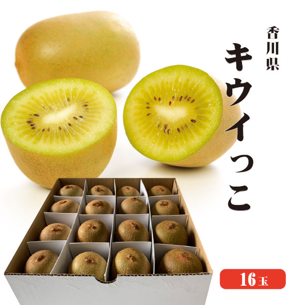 【送料無料】香川県産・世界最小キウイ・さぬきキウイっこ16玉入り