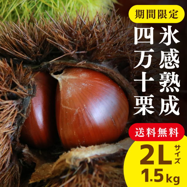 まんま様 生栗 4キロ まんま様 生栗 4キロ g-rihei_4k_2l.jpg