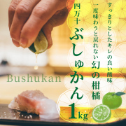 【冷蔵便】四万十ぶしゅかん 1kg 【メーカー直送】【送料発生】【※他商品との同梱不可】
