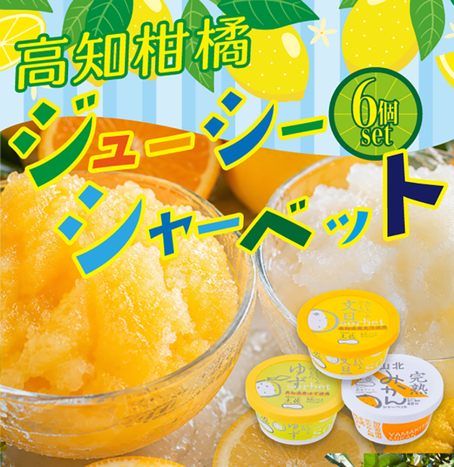 ジューシーシャーベット6個セット【送料無料】【メーカー直送】