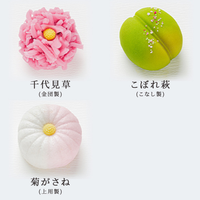 上生菓子　秋