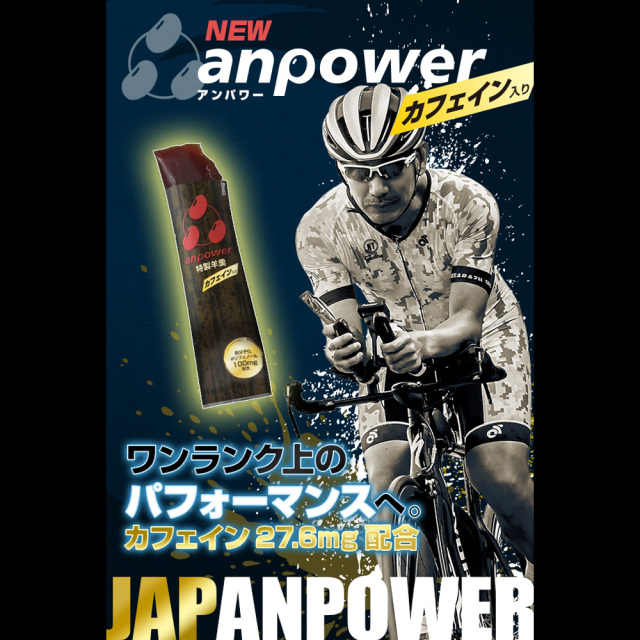 anpower アンパワー カフェイン 12155