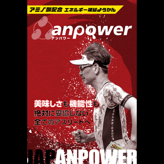 anpower アンパワー 12100