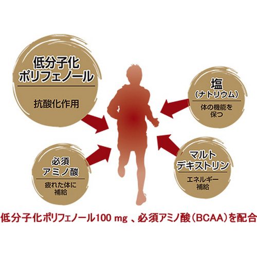 anpower アンパワー