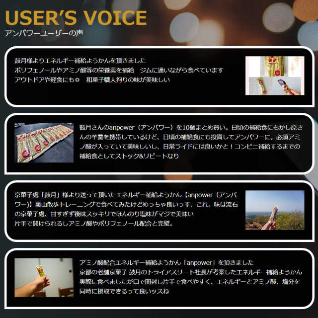anpower アンパワー